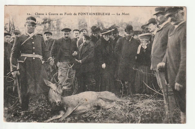 CPA 77 CHASSE A Courre En Foret De Fontainebleau Le Depecage EUR 5,00