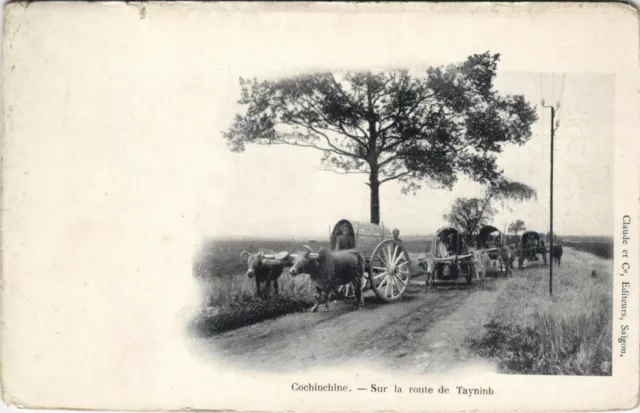 CPA AK Cochinchine Sur la route de Tayninh VIETNAM-INDOCHINA (1105569)