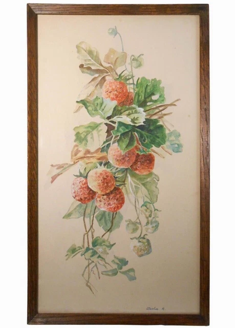 Early 20Th C Zula R. Sgnd W/C Still Life Red Dahlia Flowers W/Orig Period Frame