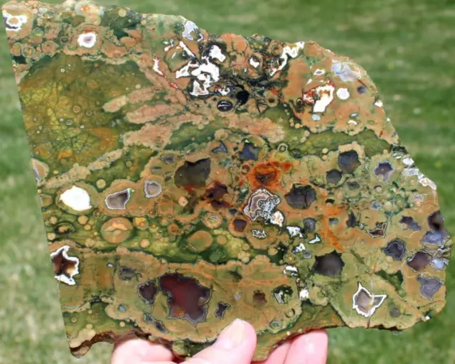 RAIN FOREST JASPER SLAB 335 grams rock/fossil/mineral/agate/gem/rough/cab/stone