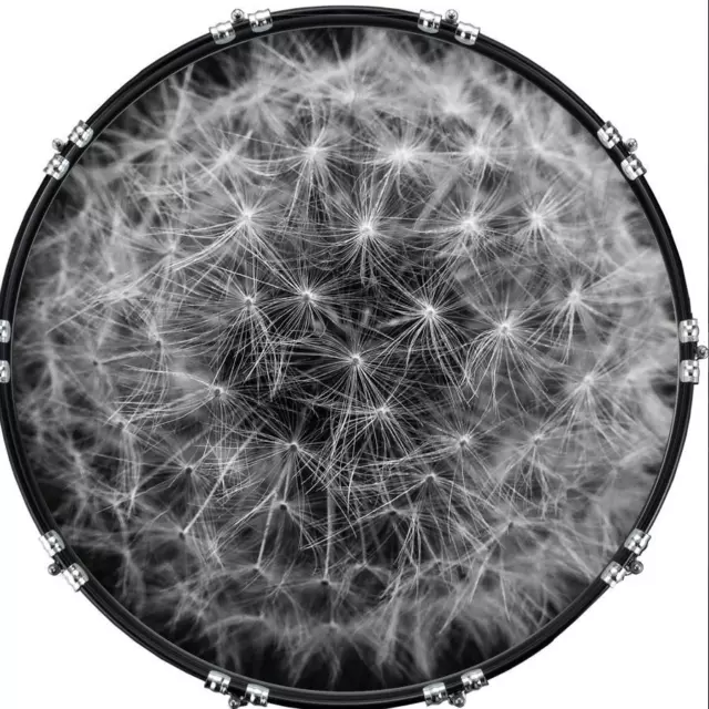 Custom 22" Kick Bass Drum Head Graphical Image Front Skin Dandelion 1