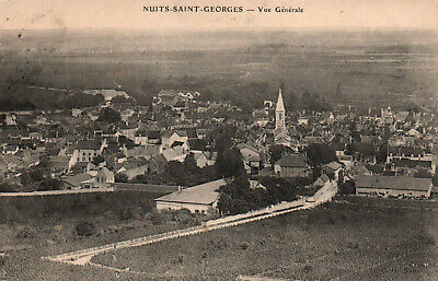Nuits-saint-georges-general view