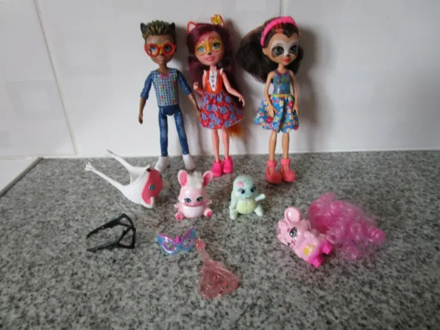 Enchantimals Dolls with Some Pets