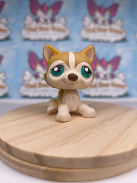 LPS PETSHOP CHIEN dog husky #2110 EUR 32,50 - FR