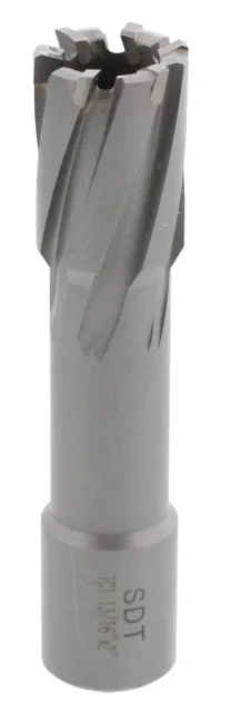 Steel Dragon Tools® 13/16" x 2" Carbide Tip Annular Cutter 3/4" Weldon