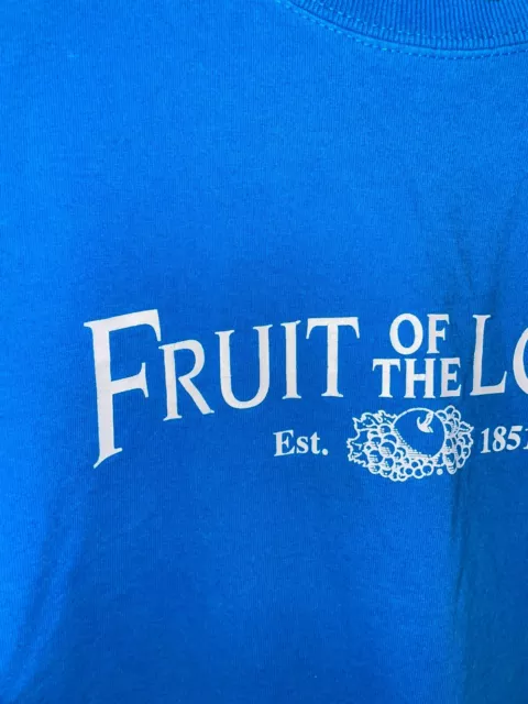 Y2K Fruit Of The Loom FOTL Blue Company Shirt Graphic Tee 2000s XL X-Large 3