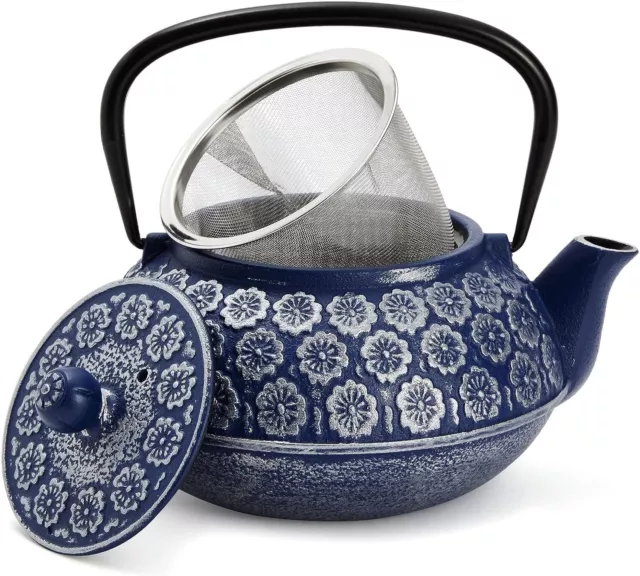 Japanese Cast Iron Teapot with Infuser for Loose Leaf and Tea Bags, Kettle