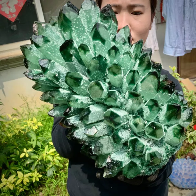 31.24LB   New Find Green Phantom Quartz Crystal Cluster Mineral Specimen Healing 2