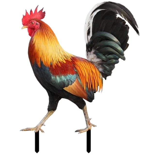 Rooster Chicken Statue Outdoor Garden Decoration Yard Art Figure Sculpture Decor