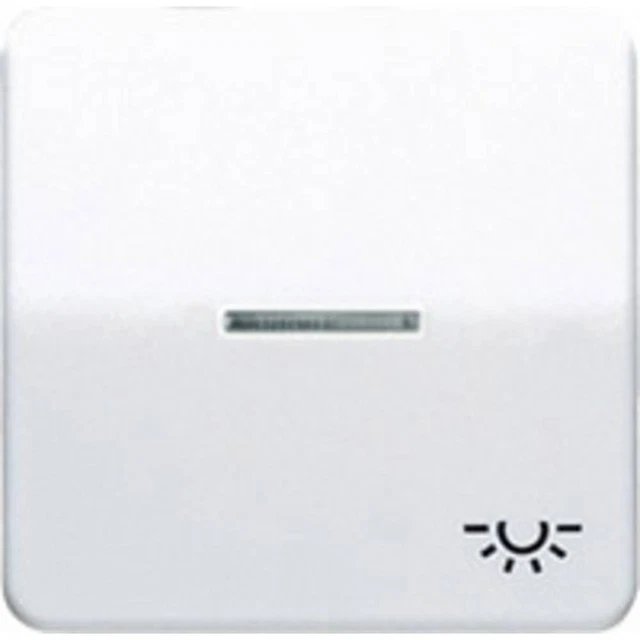 Jung simple Cache Bascule symbole éclairage blanc-alpin CD590KO5LWW