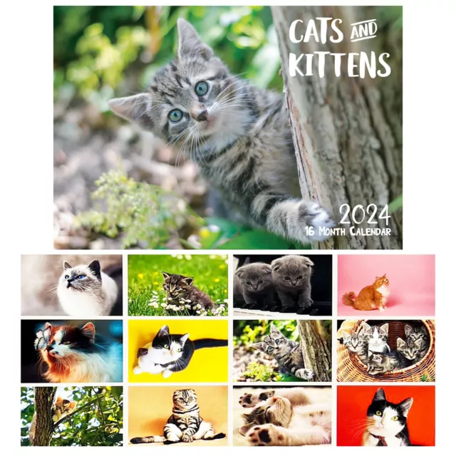 Cats & Kittens - 2024 Rectangle Wall Calendar 16 Months Hanging Planner New Gift
