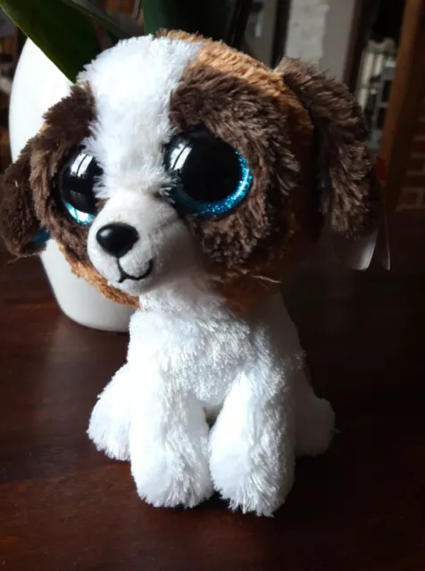 PPC/Doudou Peluche Ty Duke le chien marron blanc gros yeux TBE 2016 beanie boos