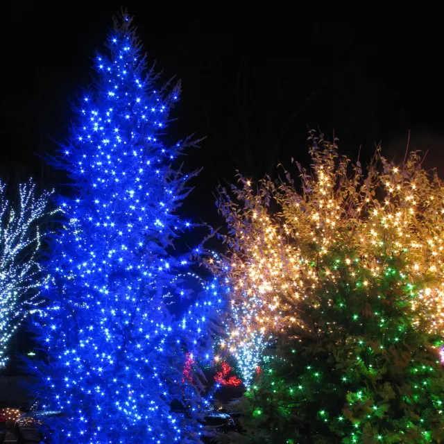 50 LED Christmas Mini String Tree Lights Home Xmas Party Dorm White Multi 17ft 3