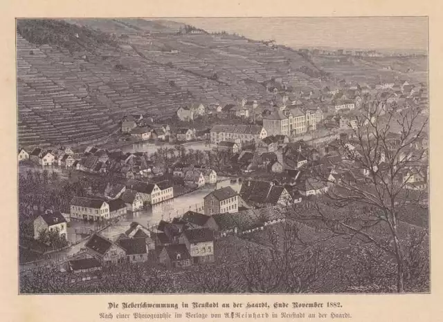 Überschwemmung Neustadt an der Hardt 1882 HOLZSTICH von 1883 Weinstraße