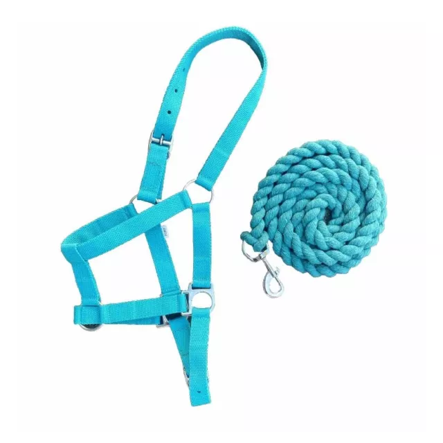 Horse Halter 1 Inch Nylon & 6ft 6 Cotton Lead In Teal  Foal Shetland Pony