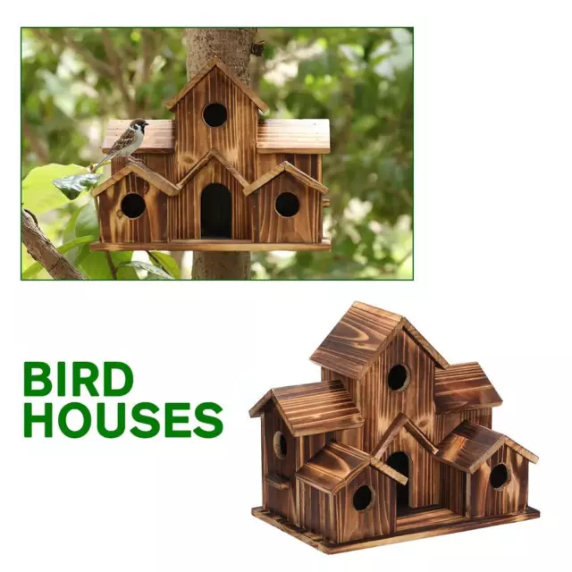 5 Hole Bird House Room Bird Houses For 5 Bird Families Finch Cardinals Q6I3