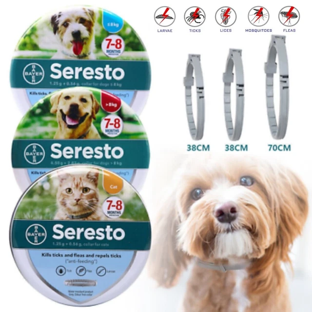 Collare Antiparassitario Cani/Gatti per 8 mesi Protezione Comodo collareAnimale
