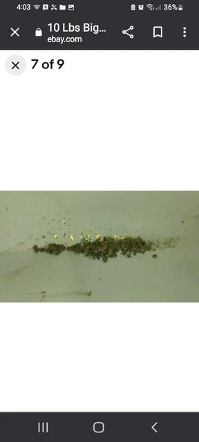 Gold Paydirt 1 Lb 100% Unsearched & Guaranteed Added GOLD! Panning Nugget Rubies