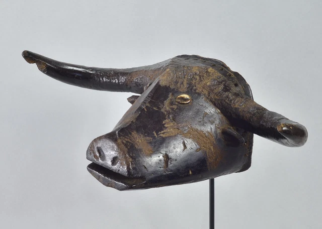 African Art Beautiful decorative zoomorphic TABWA Buffalo 20" Mask Congo Drc
