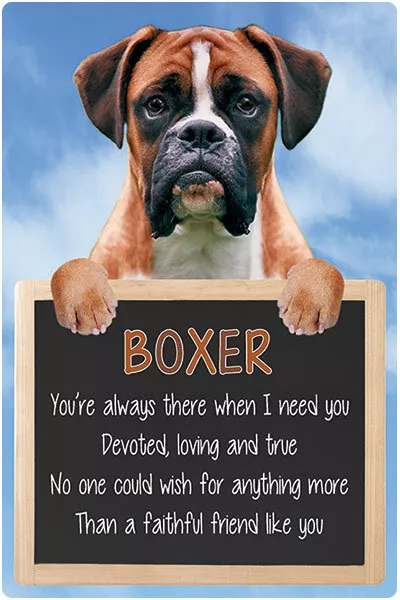 Boxer dog sign BOXERS signs faithful friend like you dog quote wall hanging dogs