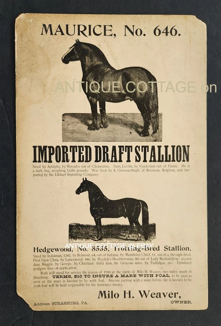1800s antique STALLION BROADSIDE strasburg pa M WEAVER horse MAURICE HEDGEWOOD