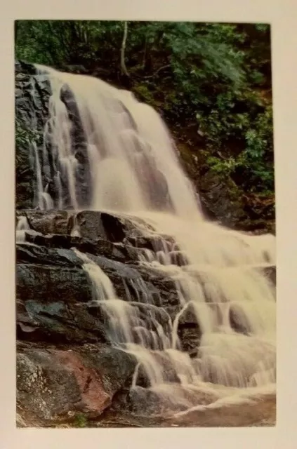 Laurel Falls Great Smokey Mountains vintage postcard 1960s 1970s 1980s