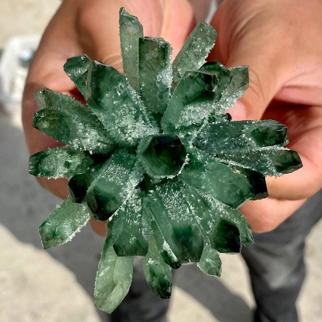 279G New Find Green Phantom Quartz Crystal Cluster Mineral Specimen Healing 5