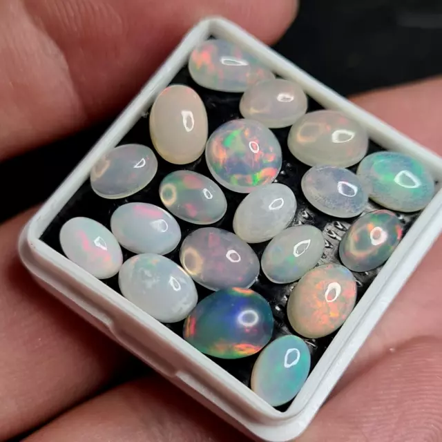 19 Pcs Natural Welo Opal Cabochon Mixed lot Loose Welo Opal Gemstones 10tcw