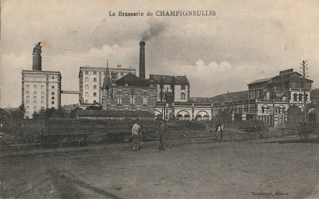 CPA Mushrooms (54) - La Brasserie