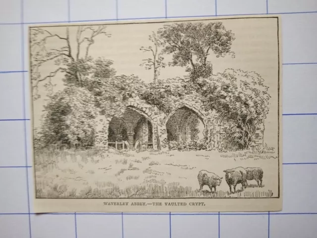 Waverley abbey the vaulted crypt sheep illustration 1891
