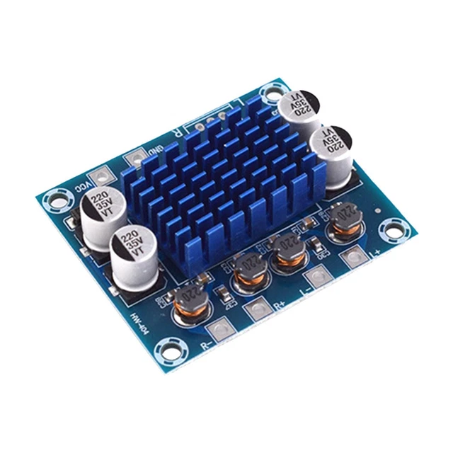 SCHEDA AMPLIFICATORE DIGITALE Bluetooth per Auto Doppio Microfono