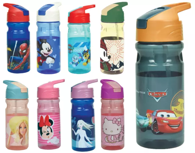 Kinder Trinkflasche Sportflasche Disney 500ml Wasserflasche Mickey Mouse Frozen