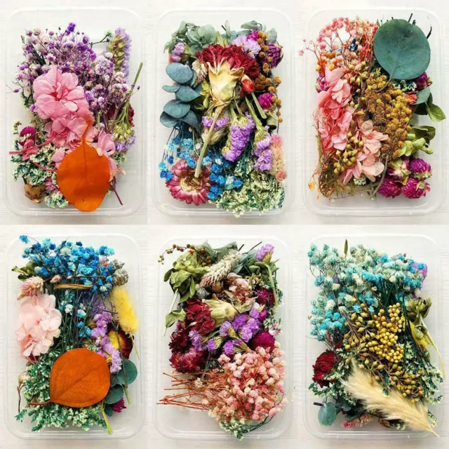 Hot 1Box Dried Flowers For DIY Art Craft Epoxy Resin Jewellery Pendant S4Z2