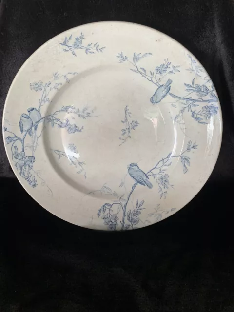 Ancien grand  Plat  Luneville France  Vintage Décor Bleu Oiseaux Takou