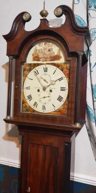 Scottish Longcase Grandfather Clock MacNab Early 19th Century 8 Day