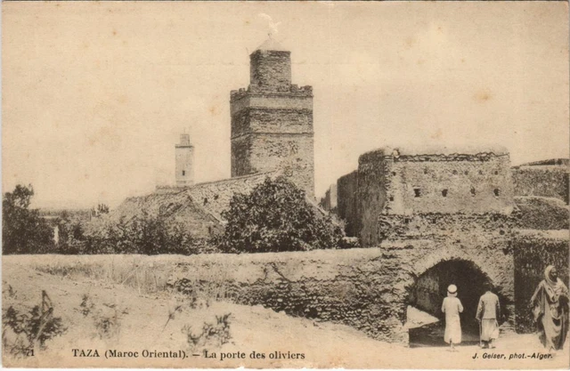 CPA AK TAZA la Porte des Oliviers MOROC (23736)