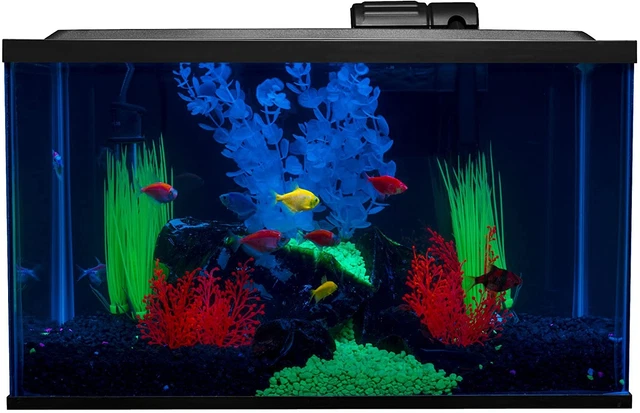 Aquarium Fish Tank Kits, Includes Fish Tank Decorations and LED Lighting