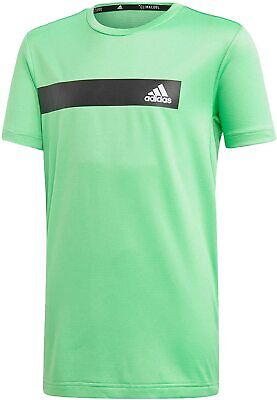 Adidas Bambino T-Shirt Atletica Corsa Formazione Verde Cool Poliestere DV1358