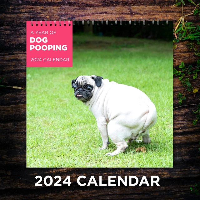 DOGS POOPING CALENDAR 2024, Dog Wall Calendar 2024, Funny Calendar 2024