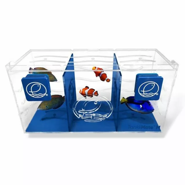Tanklimate Acclimation Box Small (6 x 4 x 4) - Eshopps