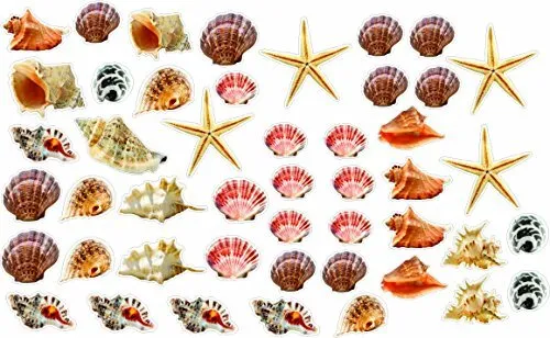 Wall Sticker Small Seashells and Starfish Colorful Removable and Repositionab...