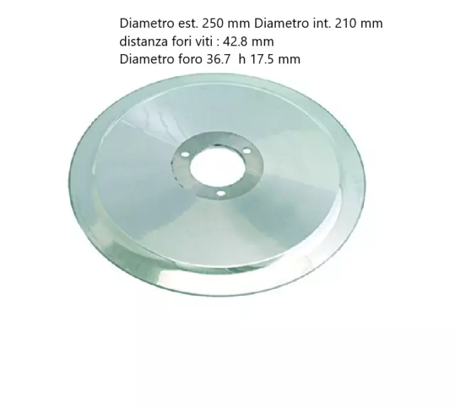 RGV Lama di ricambio per AFFETTATRICE da 250 mm in ACCIAIO C45 ORIGINALE