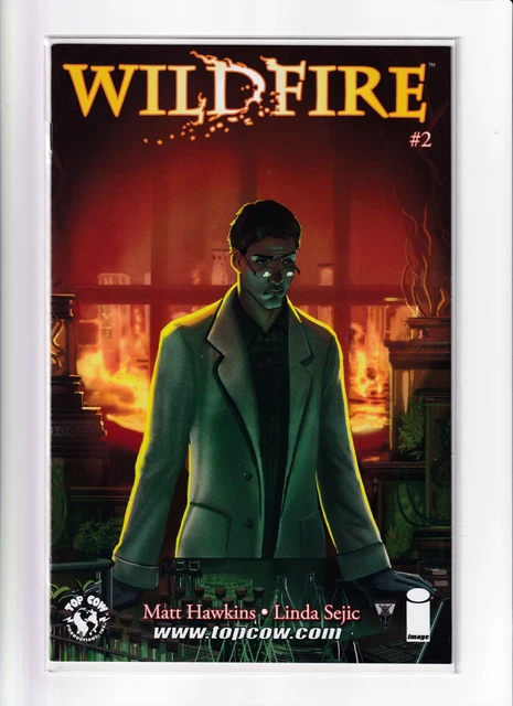 Wildfire #2 Image Top Cow Comics 2014 NM+