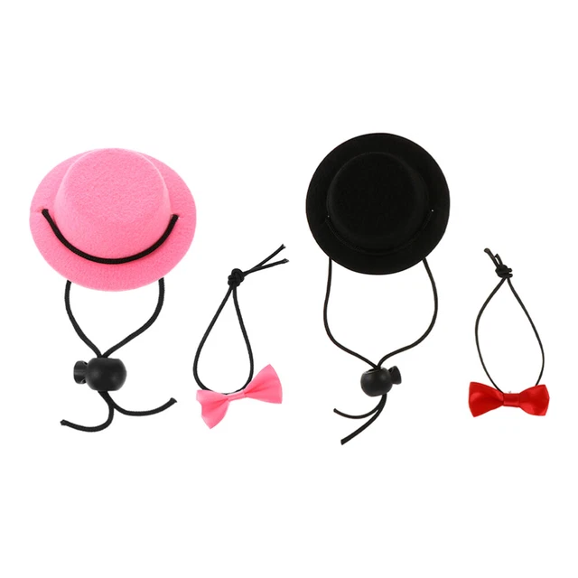 1 Set Reptil Hut Bowtie Bowtie Halsbänder für Eidechse