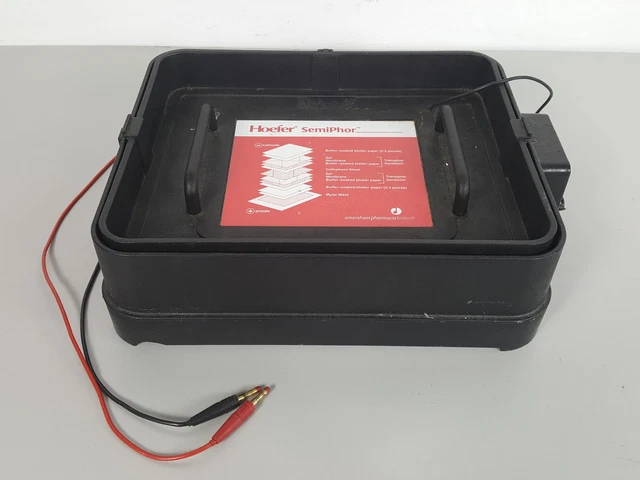 Hoefer SemiPhor Semi Dry Transfer Unit Model TE70 Lab