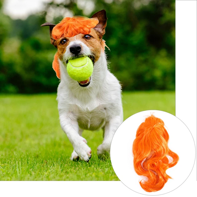 Disfraces de pelo de gato pelo largo - Accesorios para perros gatos (naranja)