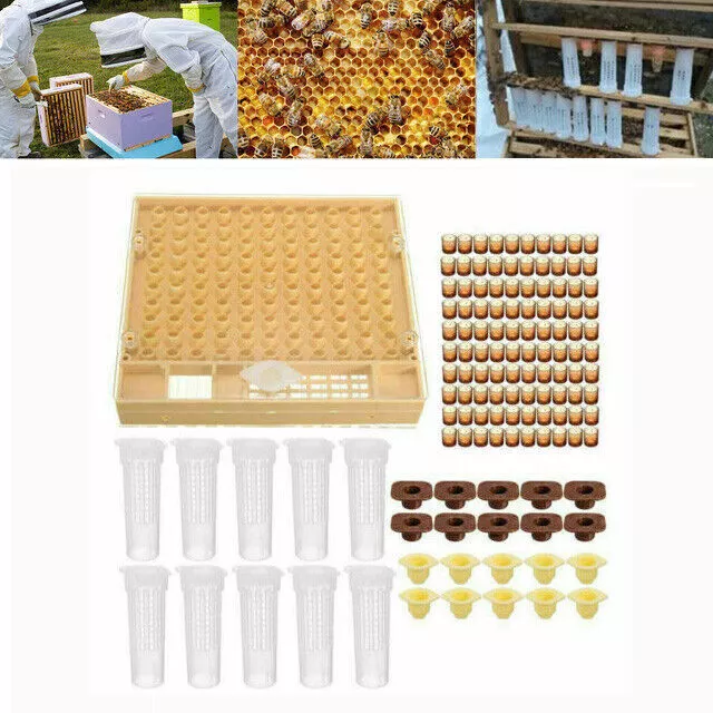 Zucht Königinnenzucht Queen & 100 Komplettsystem Bienenfänger Imkerei Zellbecher 2