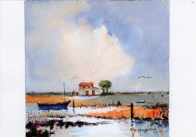 ACUARELA ORIGINAL DE BERRUGUETE: LA ALBUFERA, REFLEJOS, Watercolour, Aquarelle