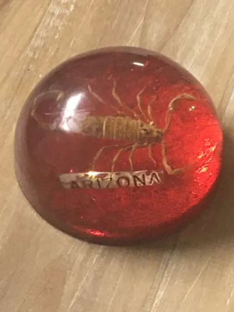 Vintage Scorpion Paperweight Arizona Souvenir Red 2 3/8”