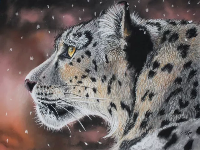 Original Pastel Painting Snow Leopard Wildlife Art by Catrin Klöcker